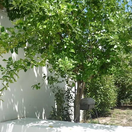 Casa Da Terra Góis