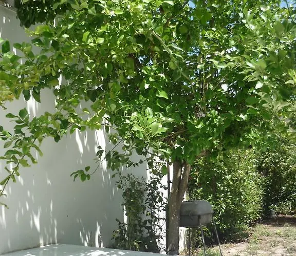 Casa Da Terra Góis